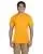 5066.webp