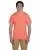 5083.webp