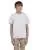 5091.webp