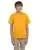 5096.webp