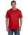 5126.webp