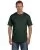 5131.webp
