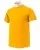 5133.webp