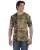 5146.webp