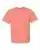 54317_f_fl.webp