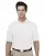 546540.webp