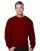 553163.webp