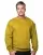 553168.webp