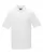 554897.webp