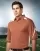 568339.webp