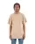 577170.webp