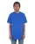 577248.webp