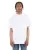 577772.webp