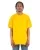 577887.webp
