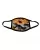 578092.webp