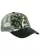 585555.webp