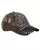 585667.webp