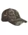 585669.webp