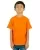 587421.webp