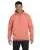 589360.webp
