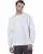 589595.webp