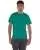 590023.webp