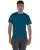 590039.webp