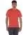 590055.webp