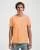 594220.webp