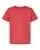 595181.webp