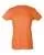 595246.webp