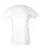 595270.webp