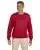 5965.webp