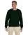 5969.webp