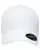 602244.webp