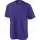 607463.webp