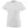 618.webp
