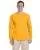 6186.webp