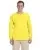 6199.webp