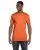 6256.webp