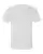 65286_f_fl.webp