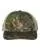 653495.webp