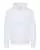 654007.webp