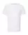 660336.webp