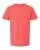 660875.webp