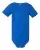 66110_f_fl.webp