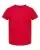 66155_f_fl.webp
