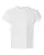 66160_f_fl.webp