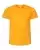 66316_f_fl.webp