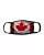 665579.webp